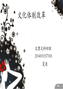 2014年文化体制改革