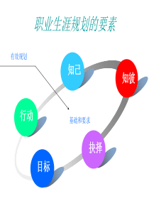 第四章职业生涯决策与行动