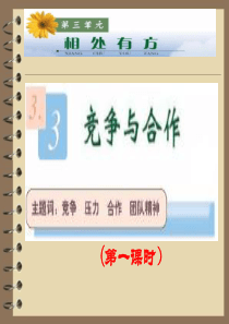 8(上)331《竞争与合作》课件.