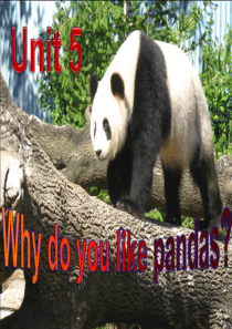 新目标英语_2012年新版  七年级下册  英语  Unit 5 why do you like k