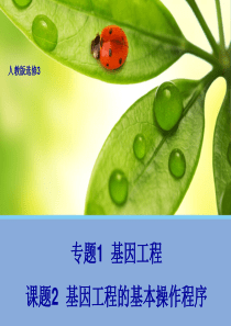 【生物】1.2基因工程的基本操作程序(人教版选修3)课件