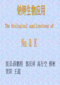 钠钾的吸收与代谢