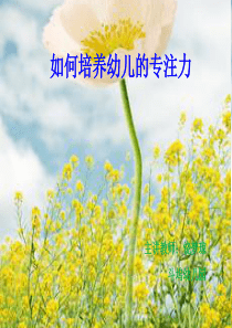 课件-孩子注意力的培养