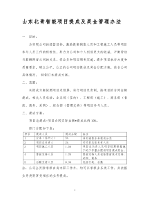 北青科技项目提成及奖金管理办法