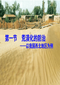 《荒漠化的防治(共74张ppt)