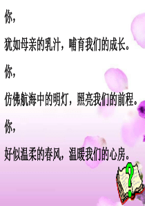 34猫是老虎的先生