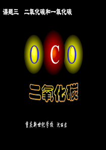 初中化学《二氧化碳和一氧化碳》PPT课件