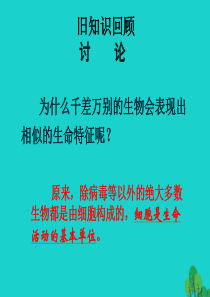 七年级生物上册 第二单元 第3章 第1节 细胞的基本结构和功能教学课件 北师大版