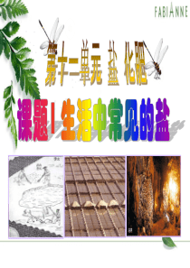 生活中常见的盐精品课件