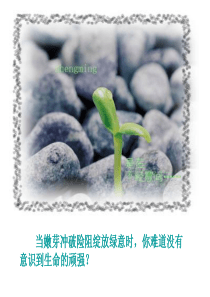 《囚绿记》(上课)