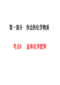 2014届中考化学一轮复习考点8 《盐 化肥》PPT课件