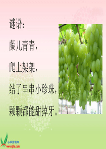 人教新课标二年级语文下册《葡萄沟1》PPT课件