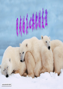 友情班会课课件