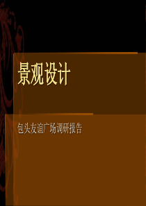 友谊广场调研报告