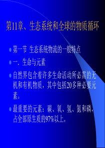 第11章、生态系统中的物流
