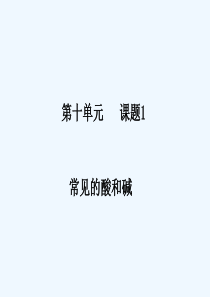 化学人教版九年级下册自制酸碱指示剂