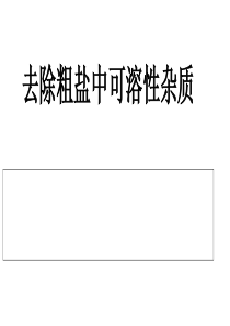 2018年中考复习专题1粗盐中可溶性杂质的去除(20张PPT)