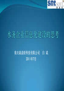 水务企业信息化建设的思考