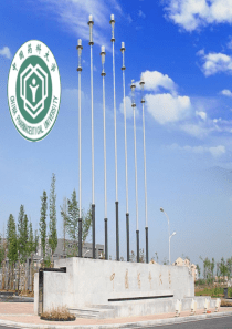 考研考博面试自我介绍个人简介PPT模板