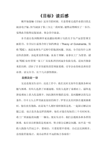 《目标》-读后感(高德拉特博士)