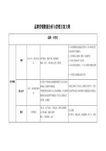 品牌营销数据分析与营销方案大纲
