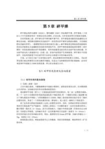 弹药概述-第5章-碎甲弹