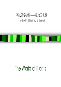 英文教学课件——植物的世界(植物介绍、植物培育、食物制作)