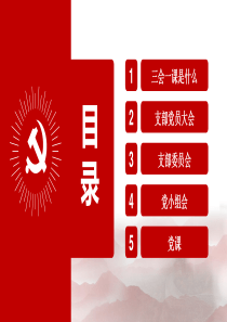 2018年基层党支部党课精品教案---新时代三会一课解读