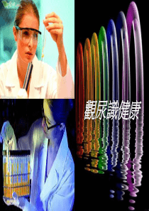 每天尿量多少排尿的次数