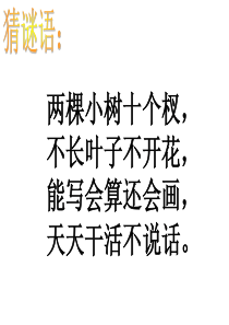 植树问题1