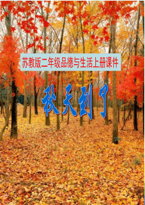 《5 秋天到了》课件