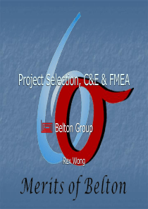 ProjectSelection,C&E&FMEA(3)