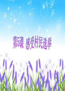 《感受村民选举》PPT课件