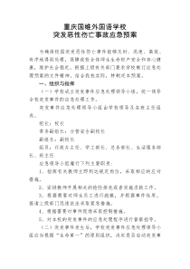 学校突发恶性伤亡事故应急预案