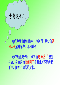 第二节  基因在染色体上