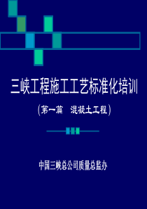 三峡工程施工工艺标准化培训-模板工程(上)