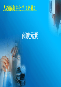 卤族元素公开课件