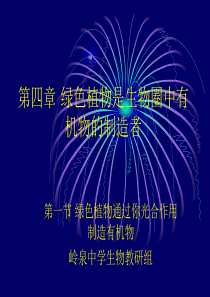第四章 绿色植物通过光合作用制造有机物课件