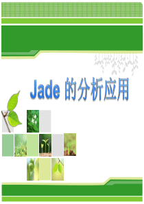 Jade的分析应用(使用详细教程)
