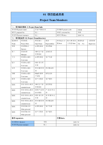 IT项目管理模板(通用)