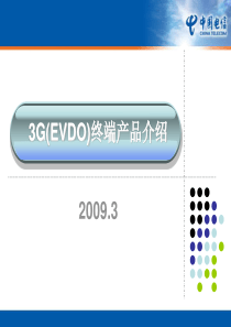 993G(EVDO)终端产品介绍