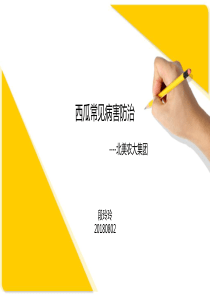 西瓜常见病害防治
