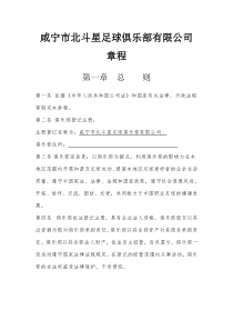 中国职业足球俱乐部章程