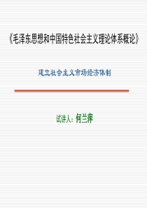 建立社会主义市场经济体制(revised 4.6)