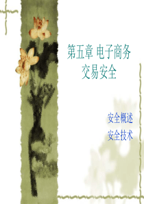 第五章 电子商务交易安全 安全概述 安全技术
