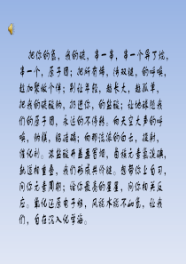 高一化学必修一第一章课件