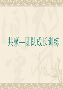 共赢――团队成长训练