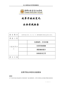 改革开放变化实践报告