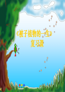 被子植物的一生复习课件(人教版七年级上)