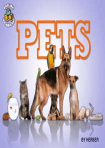 美英儿童教育资料--pets-ppt-flashcards